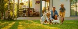 Pest Control For Yard