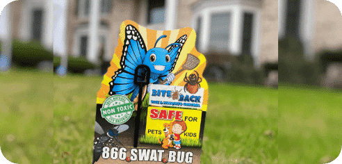 New Jersey Backyard Landscape Near Woods And Edge Habitat