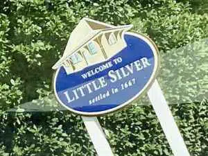 All Natural, Eco-Friendly Mosquito Control Company in Little Silver, NJ. An image clearly showing that as the number one tick & mosquito control company in Little Silver, NJ. We can help get your yard back and safe from pests.