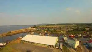 All Natural, Eco-Friendly Mosquito Control Company in Belford, NJ. An image clearly showing that as the number one mosquito & tick control company in Belford, NJ, we can help get your yard back and safe from pests.