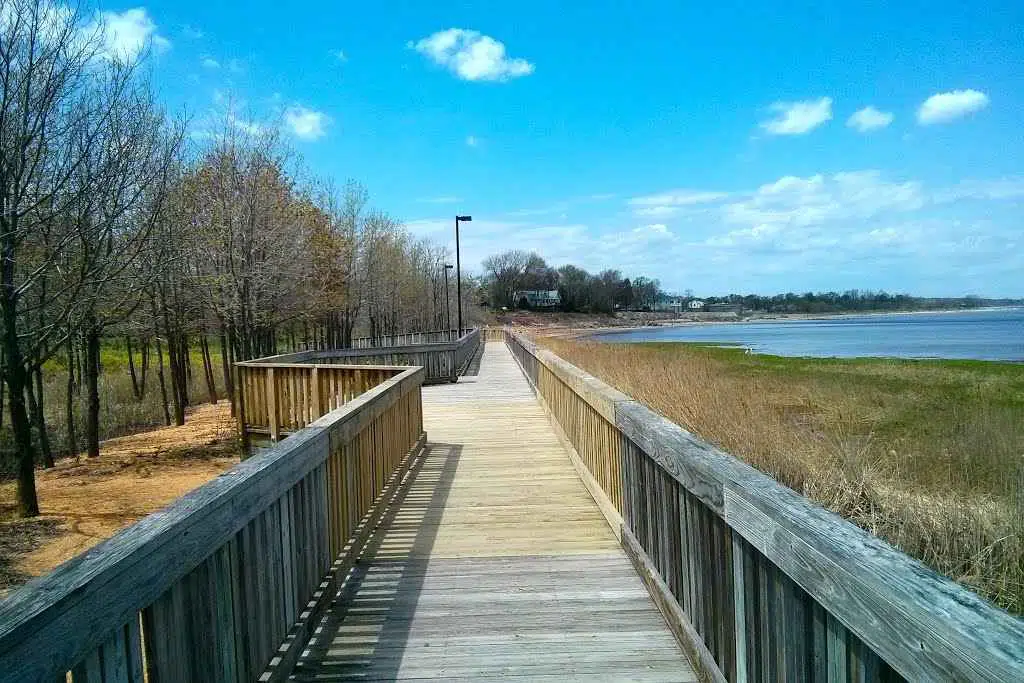 All Natural, Eco-Friendly Mosquito Control Company in Cliffwood, NJ. An image clearly showing that as the number one mosquito & tick control company in Cliffwood, NJ, we can help get your yard back and safe from pests.