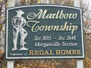 All Natural, Eco-Friendly Mosquito Control Company in Morganville, NJ. An image clearly showing that as the number one mosquito & tick control company in Morganville, NJ, we can help get your yard back and safe from pests.