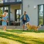 Yard Mosquito Spray