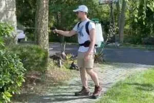 Natural Mosquito Spray