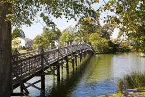 All Natural, Eco-Friendly Mosquito Control Company in Spring Lake, NJ. An image clearly showing that as the number one tick & mosquito control company in Spring Lake, NJ. We can help get your yard back and safe from pests.