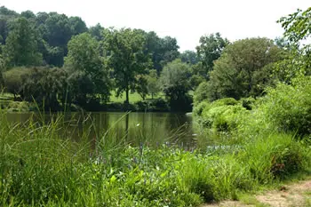 All Natural, Eco-Friendly Mosquito Control Company in Holmdel, NJ. An image clearly showing that as the number one tick & mosquito control company in Holmdel, NJ. We can help get your yard back and safe from pests.