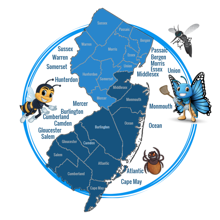 The Dangers Of Bifenthrin In Mosquito Control A Guide For Pet Owners