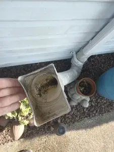 The Hidden Connection: Mosquito Control And Standing Water 1 Image000000